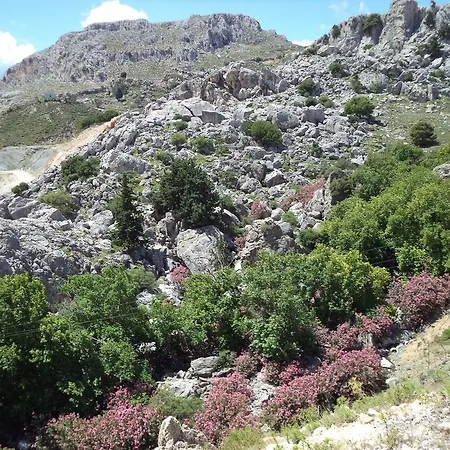 Appartement Antonios Stegna *