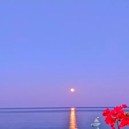 Antonios Stegna *