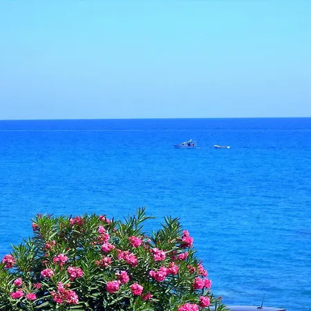 Antonios Stegna Διαμέρισμα