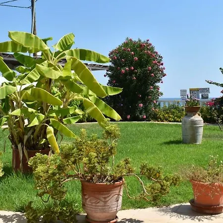 Appartement Antonios Stegna *